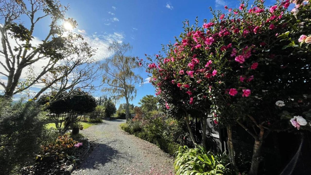 Green Tree Haven Bnb-Riwaka Tasman Bay Exterior foto